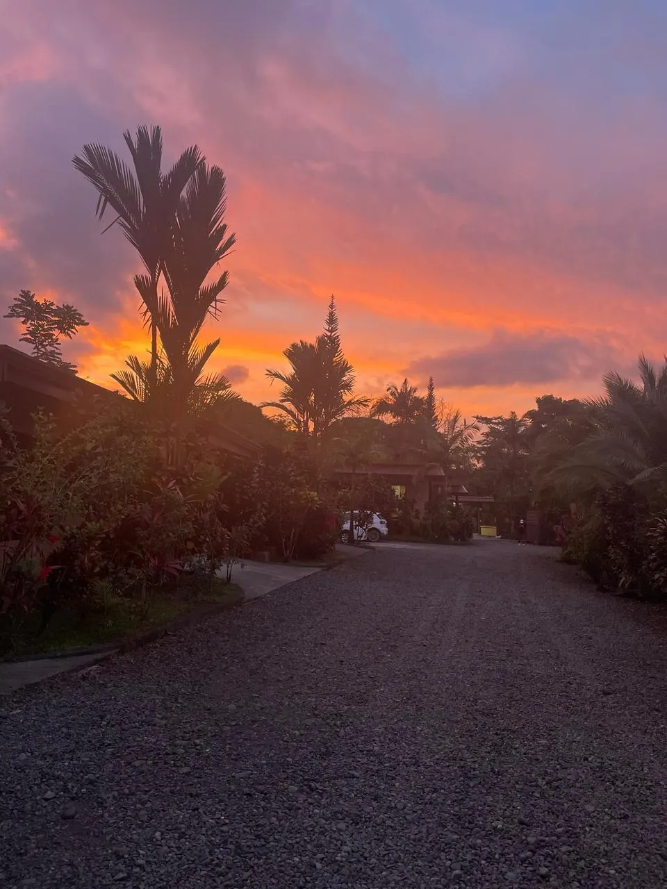 Sunset view