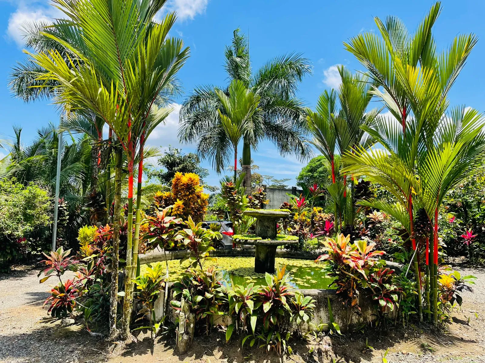 Aunty Arenal Lodge Amenities Hero