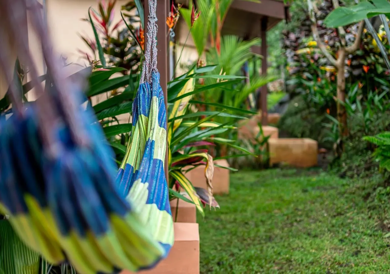 Aunty Arenal Lodge Presentation