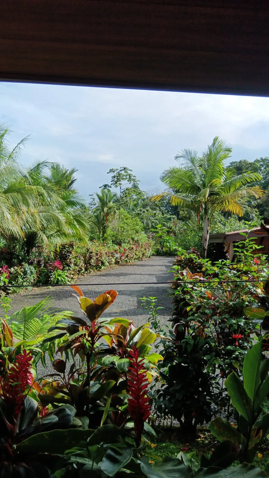 Aunty Arenal Lodge Presentation