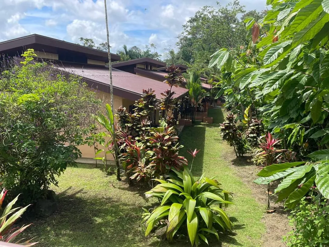 Aunty Arenal Lodge Presentation